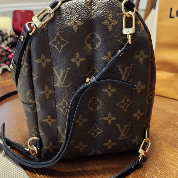 LOUIS VUITTON Palm Springs Mini Backpack - Picture 5 of 12